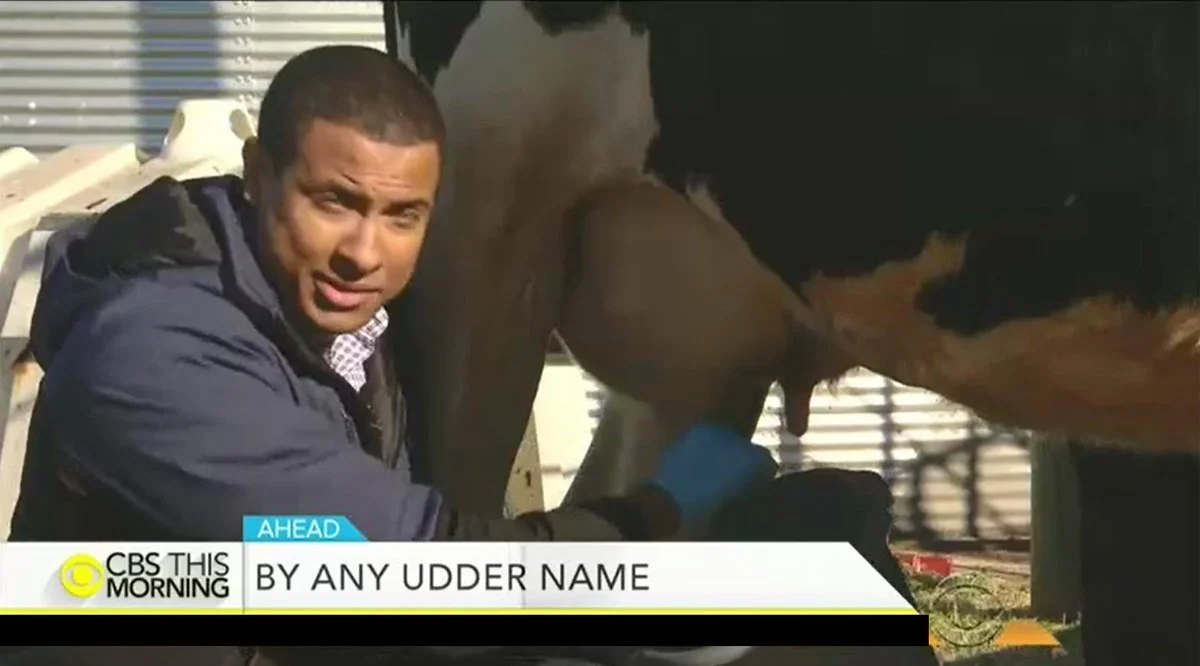 Lower Third